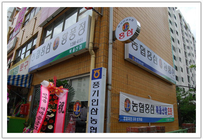 풍기인삼농협 이미지