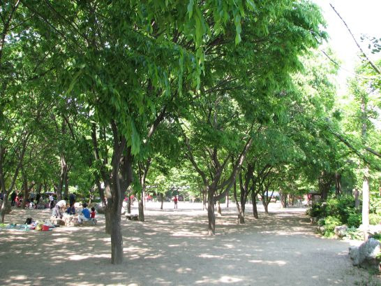 마리아회고등학교 이미지