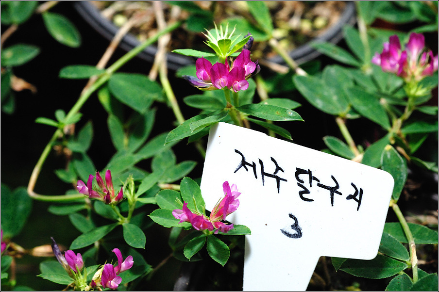 월악농원 이미지