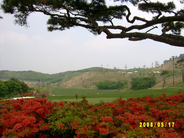 수희 이미지