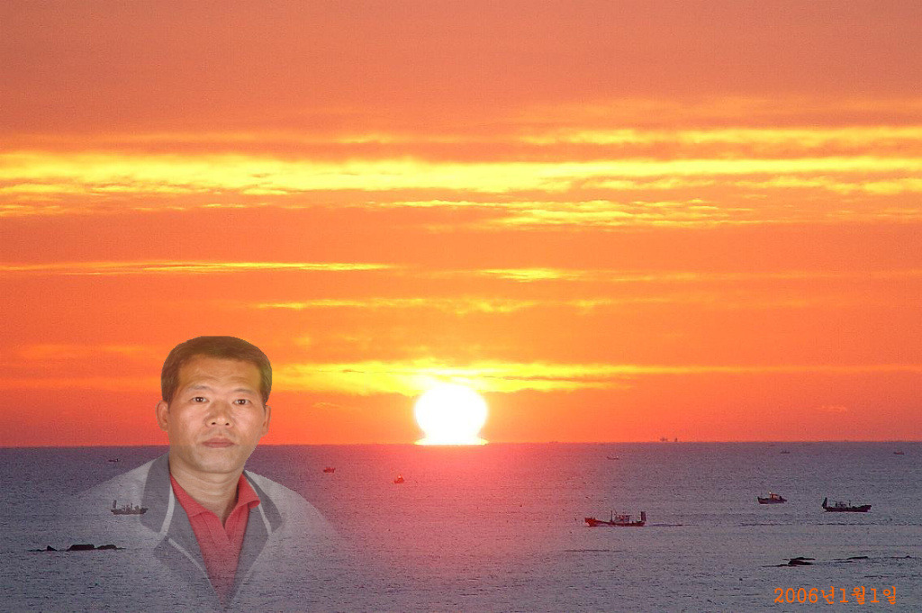 흑송 이미지