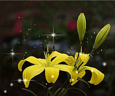 À̹ÌÁö¸¦ Ŭ¸¯ÇÏ¸é ¿øº»À» º¸½Ç ¼ö ÀÖ½À´Ï´Ù.